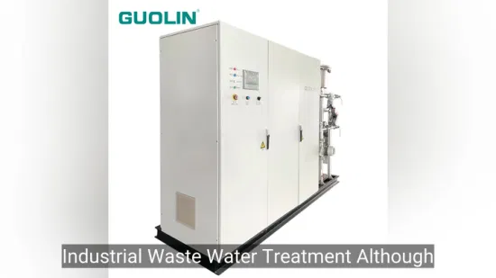 40g/H Water Disinfection Sterilization Ozone Generator Machine Equipment for Drinking Water and Cooling Tower Application